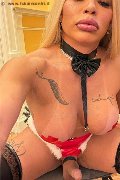 Foto Hot Annunci Vip Transescort Bruxelles Nicoly 3293358987 - 2