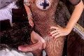 Foto Hot Annunci Vip Transescort Legnano Ale Cavallona 3508935739 - 7