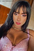 Bologna Trans Andressa Angelis 338 19 18 175 foto selfie 5