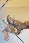 Padova Trans Campbell 393 33 57 541 foto selfie 10