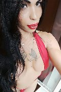 Vercelli Trans Rayla Rios 329 38 77 403 foto selfie 33