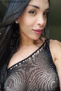  Trans Escort Fernanda Tavares 366 70 13 803 foto selfie 33