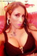 Legnano Trans Escort Leyla 338 33 98 084 foto selfie 60