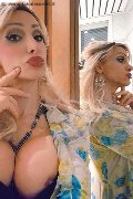 Monza Trans Escort Regina Audrey Italiana 388 98 31 116 foto selfie 171