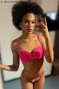 Novara Trans Escort Miele 331 78 08 280 foto selfie 30