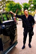 Foto Annunci Vip Boys Roma Marco 3711509260 - 2