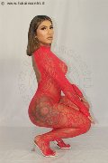 Foto Annunci Vip Trans Firenze Gabyzinha 3520298736 - 15