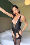 Foto Annunci Vip Trans Verona Nick Miller 3382945956 - 73