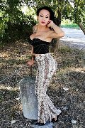 Foto Annunci Vip Transescort Adriana Paulett 3891399263 - 309