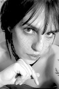 Foto Annunci Vip Transescort Modena Nina 3275779564 - 7