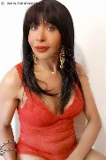Foto Annunci Vip Transescort Prato Tain� Oliveira 3285382487 - 50
