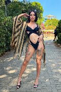 Foto Annunci Vip Transescort Verona Nick Miller 3382945956 - 80
