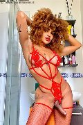 Foto Hot Annunci Vip Trans Milano Stella 3295563971 - 5