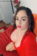 Padova Trans Zara Marcano 327 83 60 510 foto selfie 25