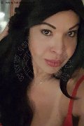 Prato Trans Tain� Oliveira 328 53 82 487 foto selfie 96