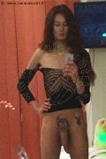 Genova Trans Escort Miranda Pinocchio Pornostar 329 44 49 590 foto selfie 10
